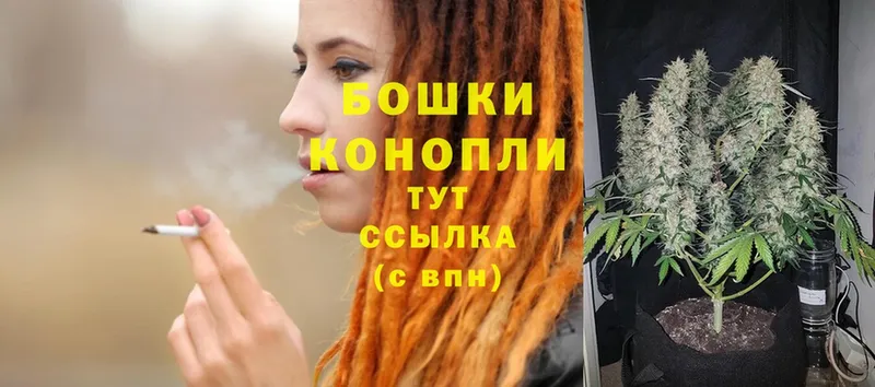 Каннабис OG Kush  Белоозёрский 